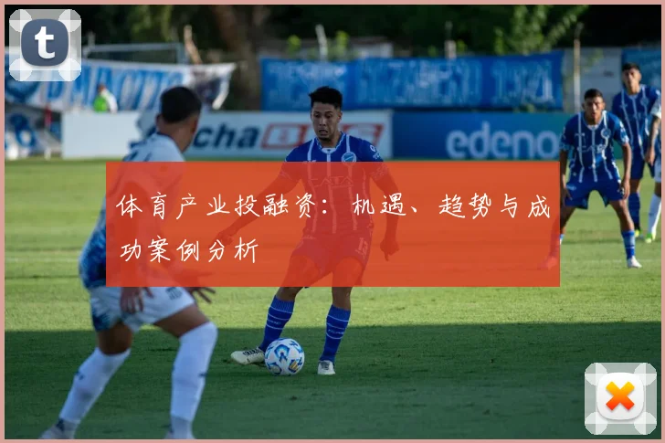 体育产业投融资:机遇、趋势与成功案例分析